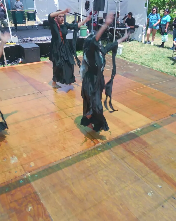 A dancer in black mid-turn on the stage, teal fabric trailing from her arms as the troupe moves around her