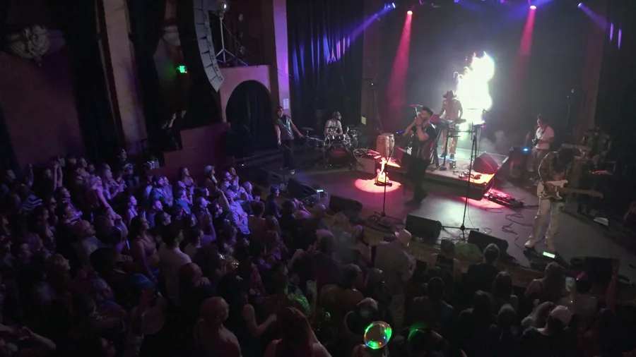 The room at a Boogie Lights show, the band on stage under pink and gold light, the crowd packed in front