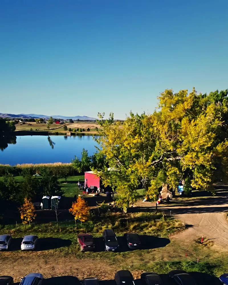 An aerial view of the Vybe festival grounds beside a lake in fall, the red stage trailer under gold cottonwoods above a row of parked cars