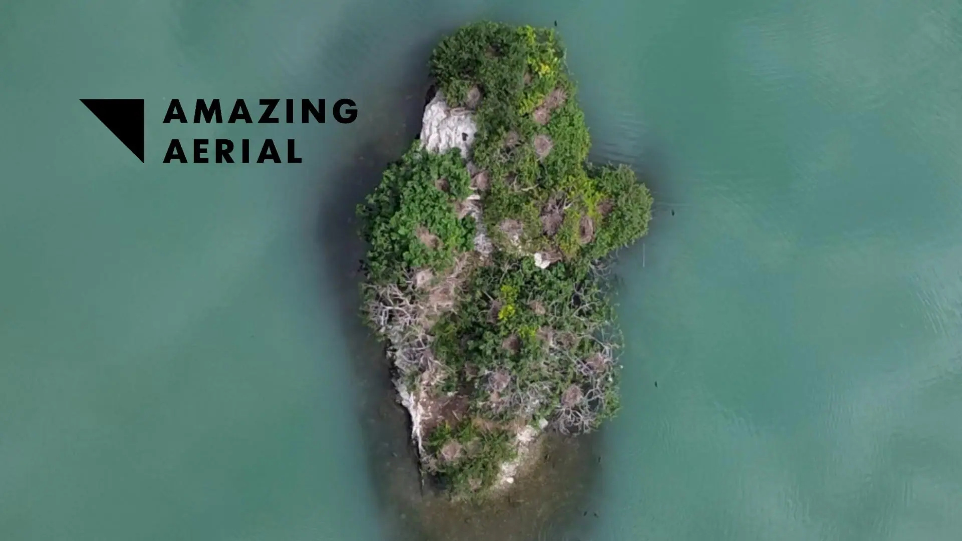 Overhead aerial of a small wooded island in turquoise water, the Amazing Aerial mark overlaid